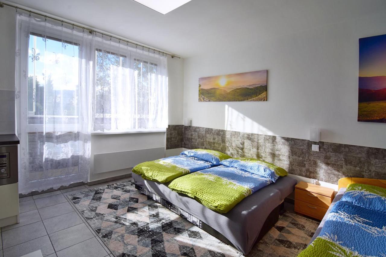 Apartman Nikola Trojanovice Exterior photo